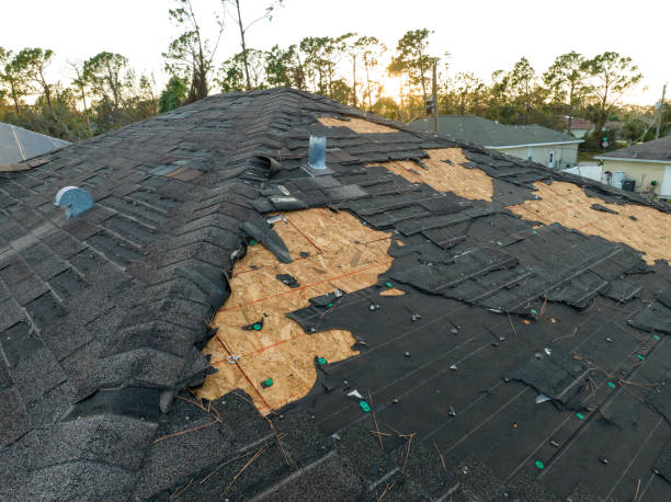 Best Steel Roofing  in Century, FL